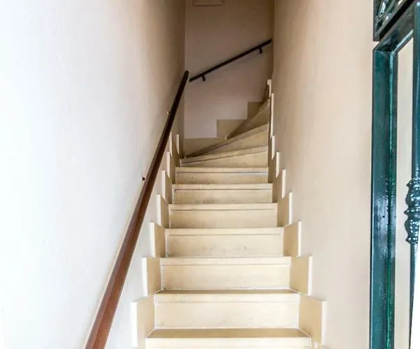 Carabeo 41 * Нерха